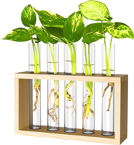 Photo 1 of Ivolador Wall Mounted Hanging Plants Terrariumin Test Tube Flower Bud Tabletop Glass Wooden Stand with 5 Test Tube Perfect for Propagating Hydroponic Plants Home Garden Wedding Decoration-Log
