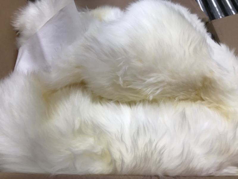 Photo 2 of Dyed Sheepskin Rug