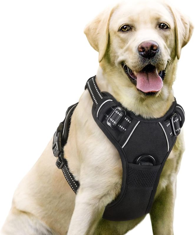 Photo 1 of rabbitgoo Dog Harness, No-Pull Pet Harness with 2 Leash Clips, Adjustable Soft Padded Dog Vest, Reflective No-Choke Pet Oxford Vest with Easy Control Handle for Large Dogs, Black, L
