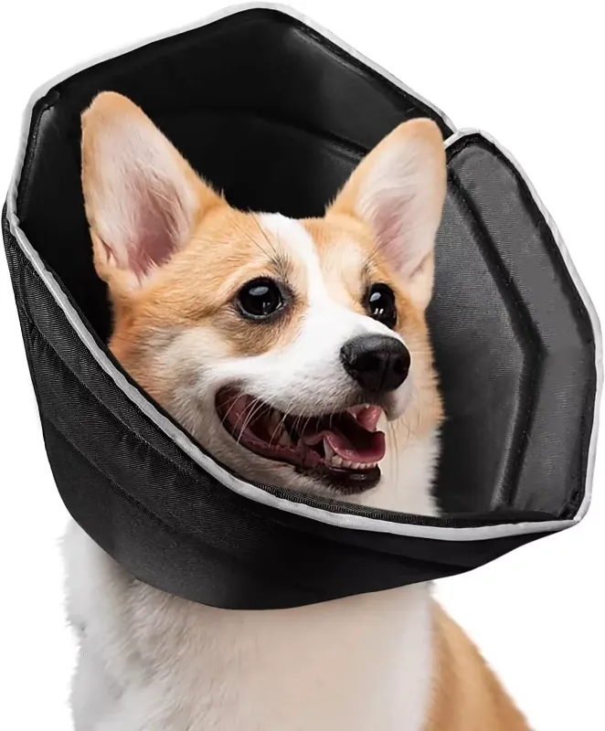 Photo 1 of Cryptdogle Dog Cone Collar for After Surgery, Soft Pet Recovery Collar/B9
