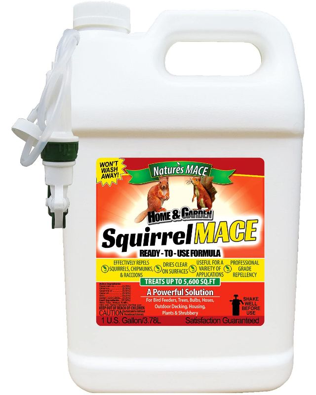 Photo 1 of Nature’s MACE Squirrel Repellent 1 Gal Spray/Covers 5,600 Sq.Ft./Keep Squirrels & Chipmunks from Destroying Trees, Planters and Bird Feeders/Safe to use Around Children & Plants 1 Gallon (Pack of 1)