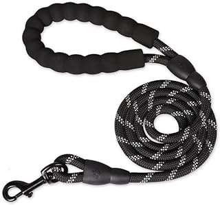 Photo 1 of Reflective Dog Leash – Comfortable Padded Handle for Small, Medium & Large Dog (5FT-1/2'', Black) – Supports Veterans with Every Purchase