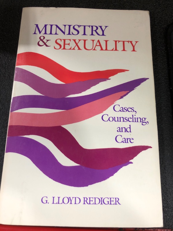 Photo 1 of Ministry And Sexuality