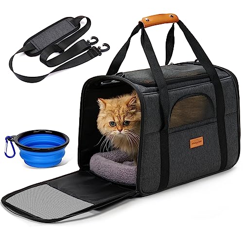 Photo 1 of Morpilot Large Cat Carrier - Soft Sided Cat Carrier Large for Big Medium Cats and Puppy up to 20lbs, Pet Carrier with Safety Zippers, Foldable Bowl, Pet Travel Carrier Bag - Dark Gray Large
