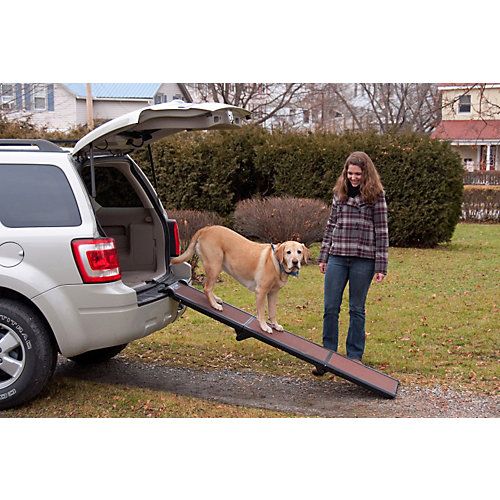 Photo 1 of  Travel-Lite Tri-Fold Pet Ramp 