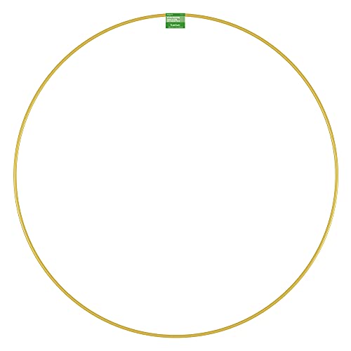 Photo 1 of FloraCraft Wire Wreath Ring 30 Inch Gold
