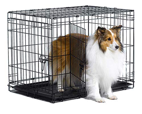 Photo 1 of  New World 30" Double Door Folding Metal Dog Crate, Includes Leak-Proof Plastic Tray; Dog Crate Measures 30L X 19W X 21H Inches, for Medium Dog Breeds 