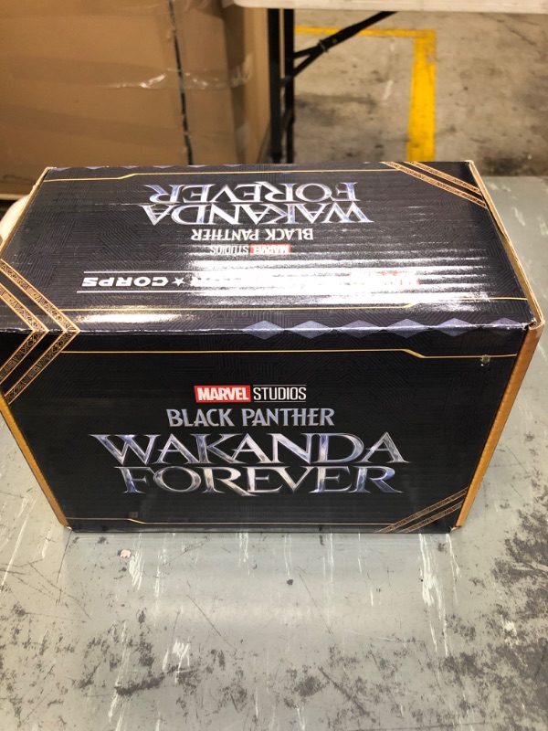 Photo 1 of Black Panther Wakanda Forever Marvel Collector Corps Box 5pc
