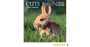 Photo 1 of 2024 Square Wall Calendar, Cute Bunnies, 16-Month Animals Theme with 180 Reminder Stickers (12 x 12 In)
