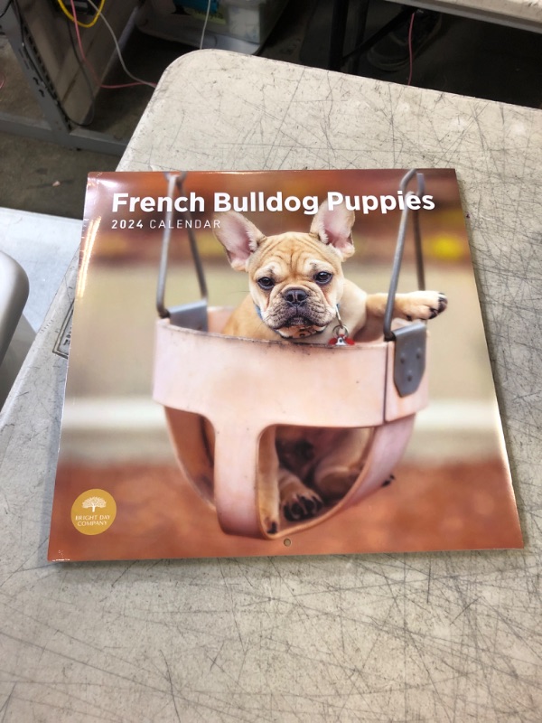 Photo 2 of 2024 French Bulldog Puppies Monthly Wall Calendar by Bright Day, 12 X 12 Inch Cute Dog Breed Gift
