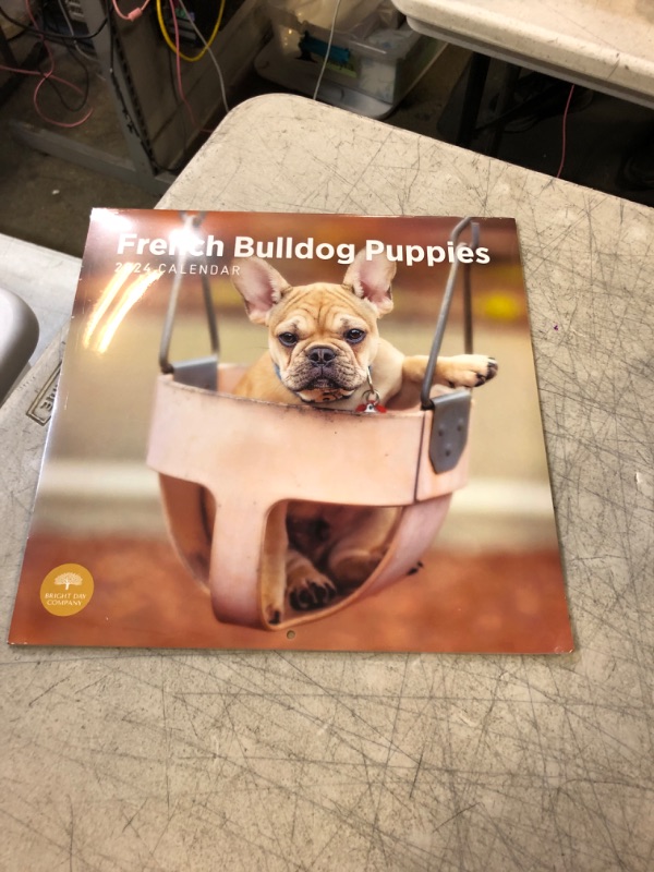 Photo 3 of 2024 French Bulldog Puppies Monthly Wall Calendar by Bright Day, 12 X 12 Inch Cute Dog Breed Gift
