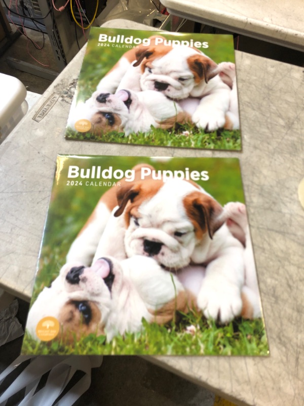 Photo 2 of 2024 Bulldog Puppies Monthly Wall Calendar by Bright Day, 12 x 12 Inch Cute Dog Breed Gift 2 PACK 