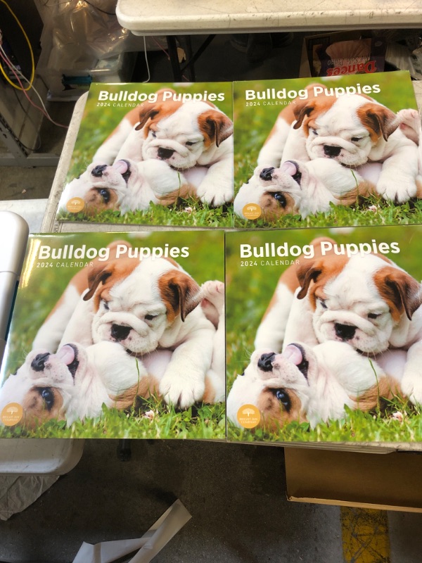 Photo 2 of 2024 Bulldog Puppies Monthly Wall Calendar by Bright Day, 12 x 12 Inch Cute Dog Breed Gift 
4 PACK 