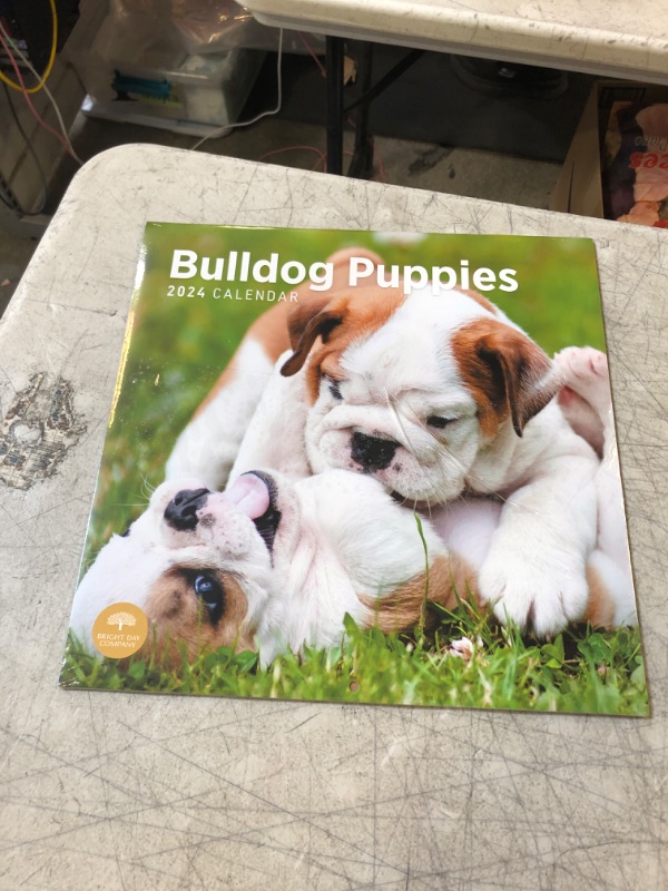 Photo 2 of 2024 Bulldog Puppies Monthly Wall Calendar by Bright Day, 12 x 12 Inch Cute Dog Breed Gift