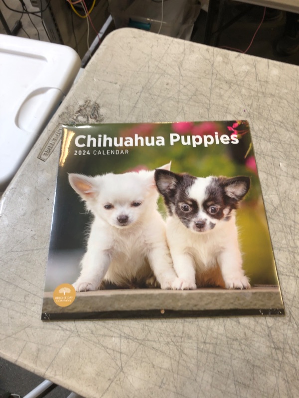 Photo 2 of 2024 Chihuahua Puppies Monthly Wall Calendar by Bright Day, 12 x 12 Inch Cute Dog Breed Gift