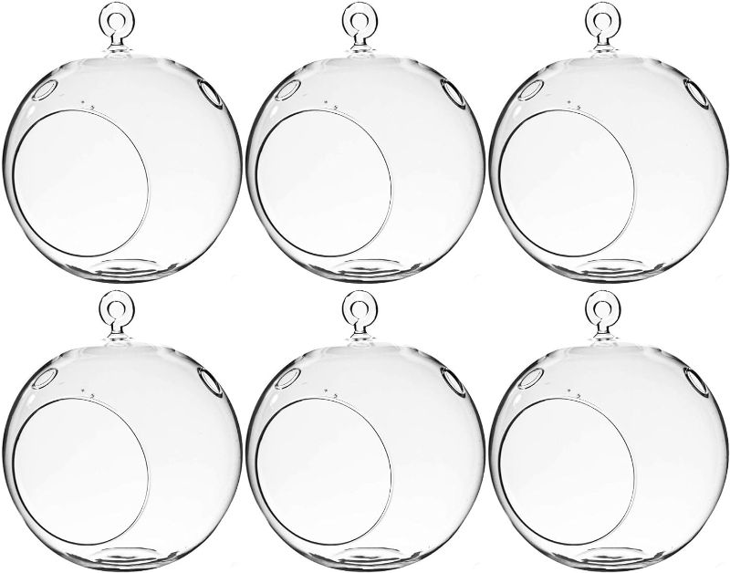 Photo 1 of  2pack WGV Hanging Terrarium Globe, Width 6", Height 6.5", DIY Air Succulent Planter, Clear Glass Vase Orb with Flat Bottom, Candle Holder for Windowsill Outdoor Garden Decor, 6 Pieces Bulk
