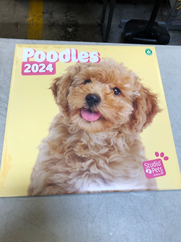Photo 2 of Official Studio Pets Dogs Wall Calendar 2024 12" x 12" FSC® Plastic Free - Starts Week On Sunday | 12 Month Planner | Square Wall Calendar 2024 | Family Planner Calendar 2024 | Poodle Calendar 2024 | Poodle 2024