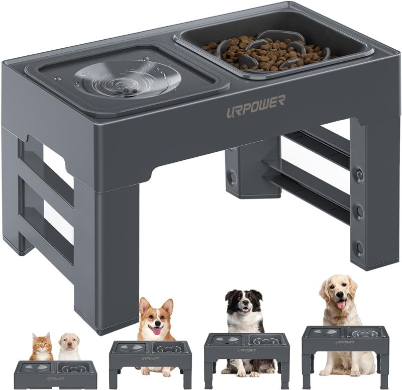 Photo 1 of  2-in-1 Elevated Slow Feeder Dog Bowls---Set of 2