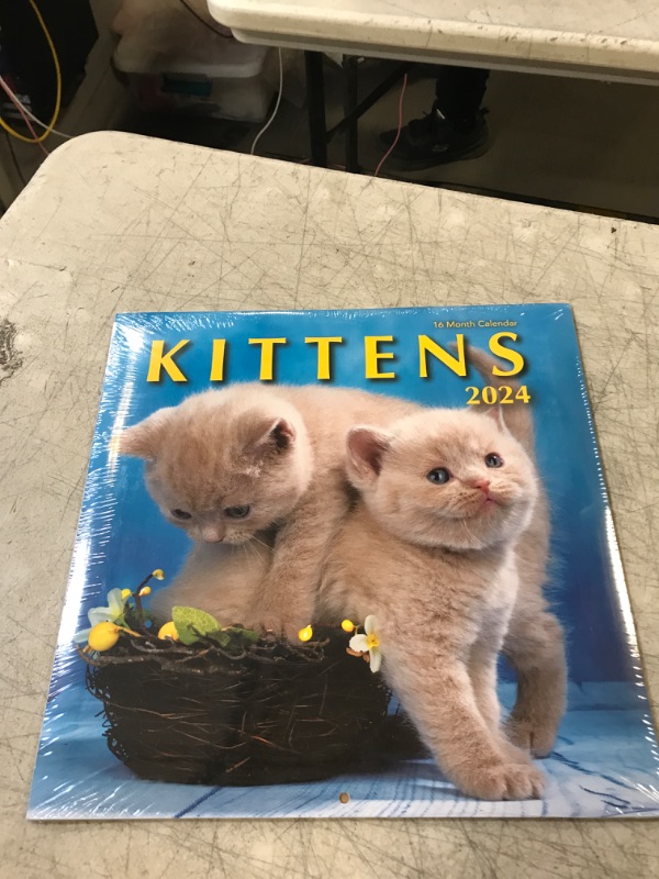 Photo 1 of Kittens 2023 Hangable Wall Calendar - 12" x 24" Open - Cute Kitty Cat Photo Gift - Sturdy Thick Beautiful Kitten Photography - Large Full Page 16 Months for Organizing & Planning - Includes 2022