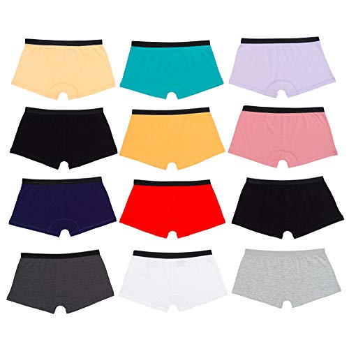 Photo 1 of Alyce Ives Intimates Boyshort Panties for Women, Pack of 6, 95% Cotton Boxer Briefs
