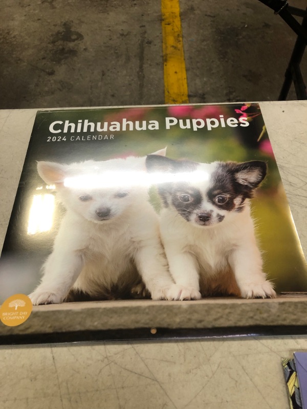 Photo 2 of 2024 Chihuahua Puppies Monthly Wall Calendar by Bright Day, 12 x 12 Inch Cute Dog Breed Gift