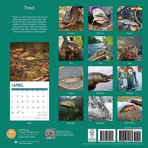 Photo 1 of 2024 Trout Monthly Wall Calendar by Bright Day, 12 X 12 Inch Cute Nature Photography Gift
