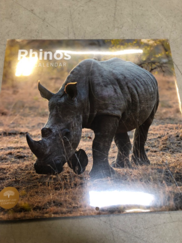 Photo 2 of 2024 Rhinos Monthly Wall Calendar by Bright Day, 12 x 12 Inch Cute Nature Photography Gift Wildlife Safrai Animal Elephant Zoo Lion