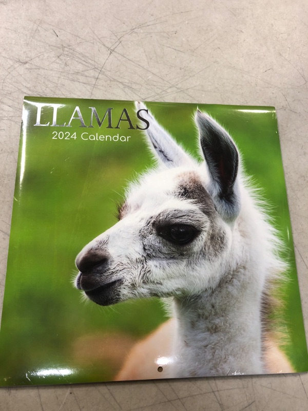 Photo 3 of 2024 Square Wall Calendar, Llamas, 16-Month Animals Theme with 180 Reminder Stickers (12 x 12 In)