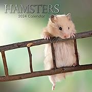 Photo 1 of 2024 Square Wall Calendar, Hamsters, 16-Month Animals Theme with 180 Reminder Stickers (12 x 12 In)