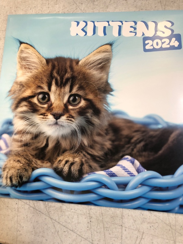Photo 2 of Cats Wall Calendar 2024 12" x 12" FSC® Plastic Free - Starts Week On Sunday | 12 Month Planner | Square Wall Calendar 2024 | Family Planner Calendar 2024 | Cat Calendar 2024 | Kittens Calendar 2024