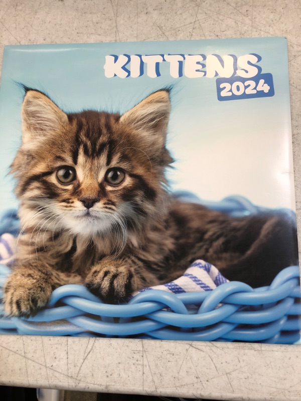 Photo 2 of Cats Wall Calendar 2024 12" x 12" FSC® Plastic Free - Starts Week On Sunday | 12 Month Planner | Square Wall Calendar 2024 | Family Planner Calendar 2024 | Cat Calendar 2024 | Kittens Calendar 2024