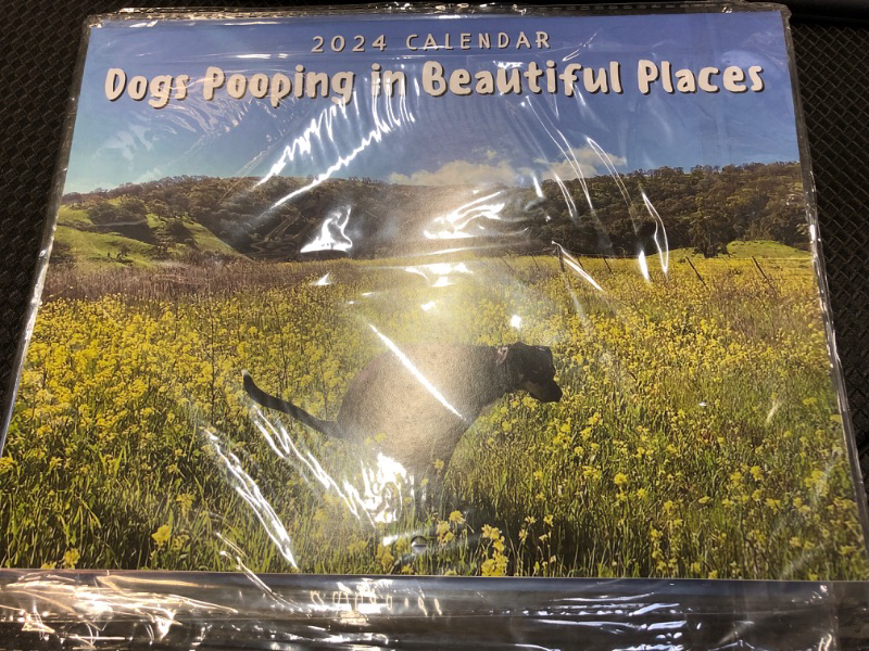 Photo 1 of 2024 calendar dogs pooping in beautiful places