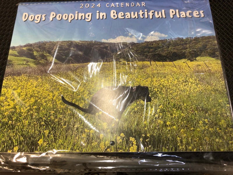 Photo 1 of 2024 calendar dogs pooping in beautiful places