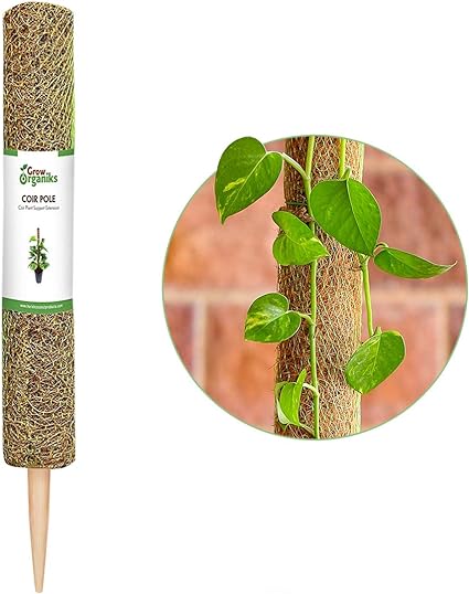 Photo 1 of 12 inch, 1 Pack Coco Coir Moss Pole for Plants, Moss Pole for Plants Monstera, Coco Coir Moss Poles Plant Support Stakes for Indoor Climbing Plants Grow Upwards, Coco Coir Totem Stakes
