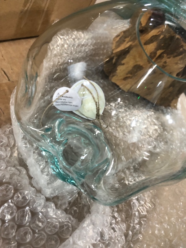 Photo 3 of Medium Hand-Blown Melted Glass Fish Bowl Vase Terrarium on Driftwood Base – Decorative Centerpiece Full or Empty