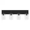 Photo 1 of **MISSING HARDWARE**
Regan 29.25 in. 4-Light Matte Black Bathroom Vanity Light with Clear Glass Shades
