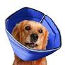 Photo 1 of Cryptdogle Soft Dog Cone for Dogs After Surgery, Breathable Pet Recovery