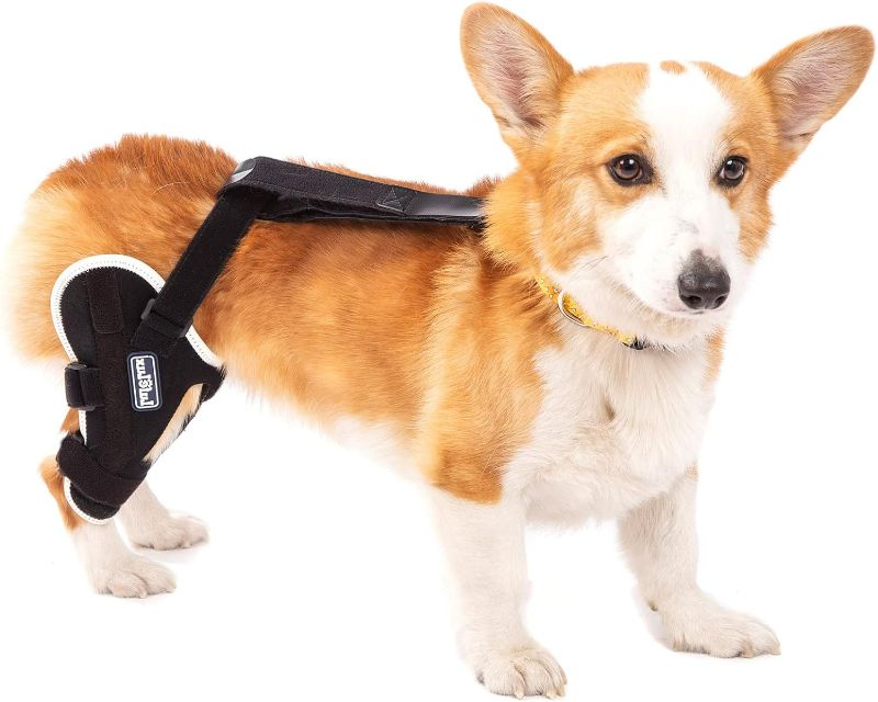 Photo 1 of LufeLux Dog Knee Brace for Torn ACL, Angled Lateral Aluminum Splints Support Dogs with Stability, CCL Injury, Patella Luxation, Arthritis, Joint Pain, Dog ACL Brace Hind Leg, Right Leg, X-Small