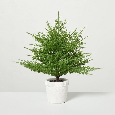 Photo 1 of Hearth & Hand Magnolia 12" Faux Cypress Christmas Tree in Cement Pot