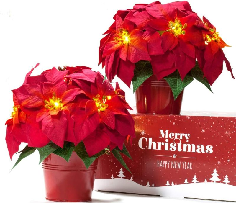 Photo 1 of 2 Pack Christmas Decorations Pre-Lit Artificial Poinsettia Plant - LED Lighted Faux Poinsettia Flowers(Red,10inch)

