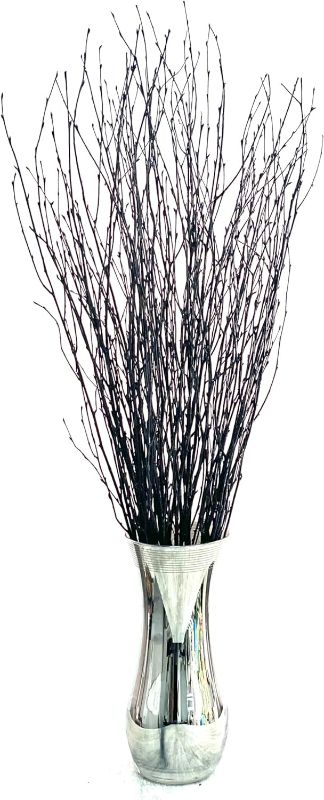 Photo 1 of ECOVENIK - 25 psc - Black Birch Branches - 73 cm, Natural Birch Twigs, Pack of 20-25 Stems, Long for Floor vases, 29 inch (Black)
