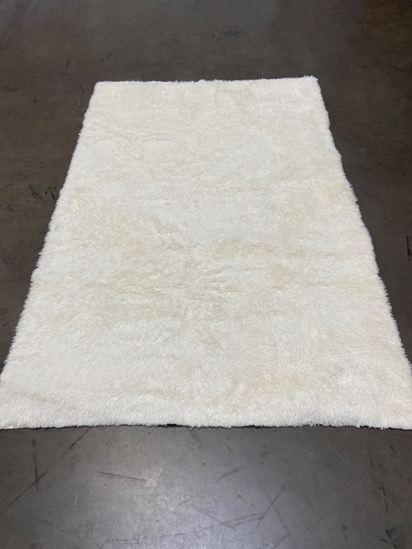 Photo 1 of Soft Fluffy Large Shaggy Rug for Bedroom, Accent Floor Carpet 5x8 Feet