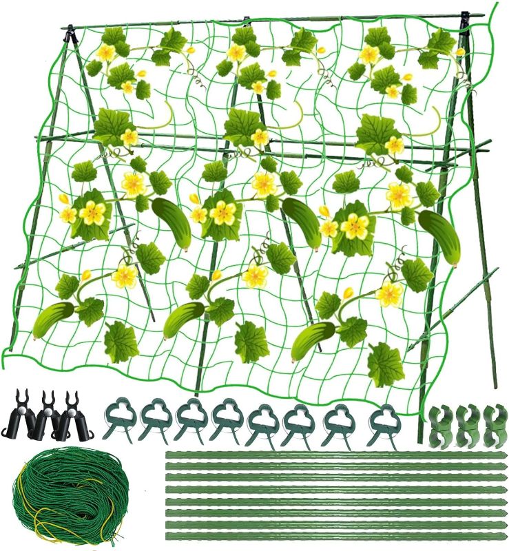 Photo 1 of CUCUMBER TRELLIS 