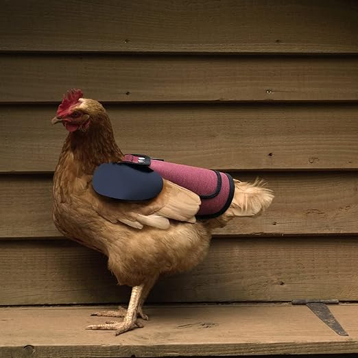 Photo 2 of  Chicken Saddle, with Adjustable Straps for Medium and Large Hens, Chicken Apron, Pet Supplies, Shoulder Cover (Burgundy)