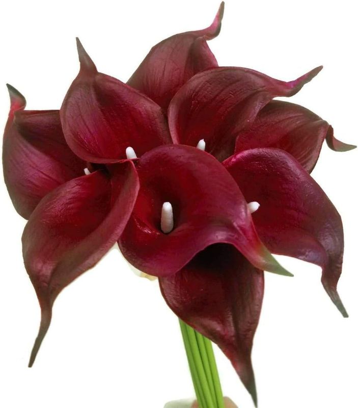 Photo 1 of Floral Kingdom USA 14" Real Touch Latex Calla Lily Bunch Artificial Spring Flowers for Home Decor, Wedding Bouquets, and centerpieces (Pack of 30) (Burgundy)
