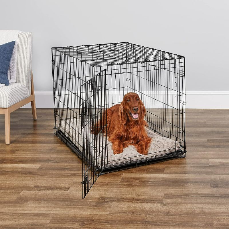 Photo 1 of MidWest Homes for Pets Newly Enhanced Single Door iCrate Dog Crate, Includes Leak-Proof Pan, Floor Protecting Feet, Divider Panel & New Patented Features
