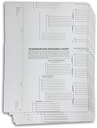 Photo 1 of 15 Generation Pedigree Chart | 10 Pack | Blank Genealogy Forms for Family History and Ancestry Work