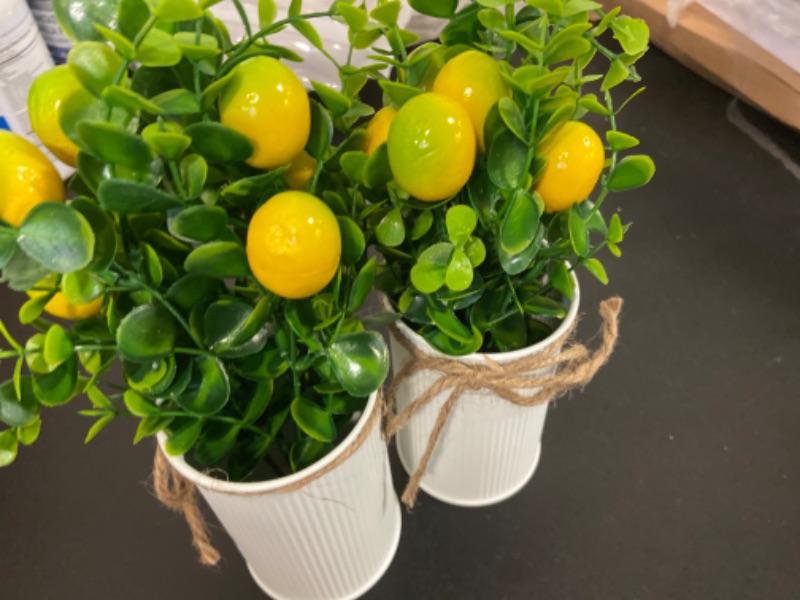 Photo 2 of 2Pcs 9.45Inch Artificial Lemon Tree Decor,Fake Lemon Plants Artificial Lemon Tree Bonsai Fake Greenery Mini Lemon Tree Potted for Home Office Decorations