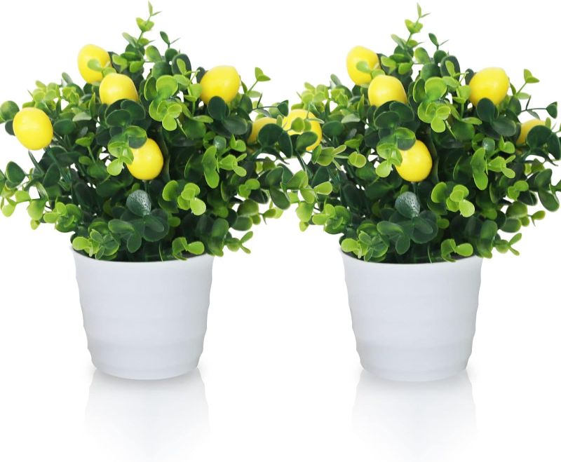 Photo 1 of 2Pcs 9.45Inch Artificial Lemon Tree Decor,Fake Lemon Plants Artificial Lemon Tree Bonsai Fake Greenery Mini Lemon Tree Potted for Home Office Decorations