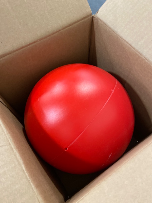 Photo 1 of Virtually Indestructible Ball 10 inches